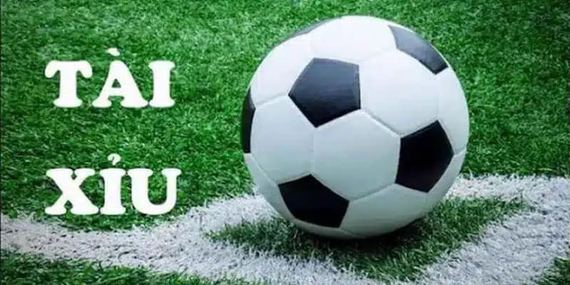 kèo tài xỉu Vicclub